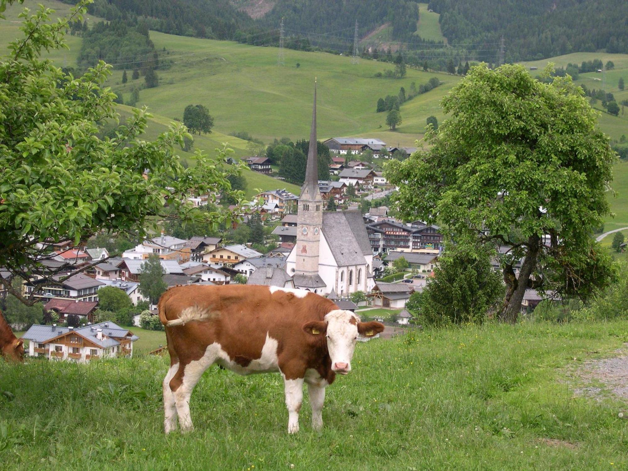 Апартаменты Feriennest Leitner Мариа-Альм Экстерьер фото